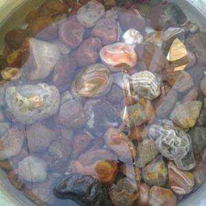 Meet your Posher, Thomas